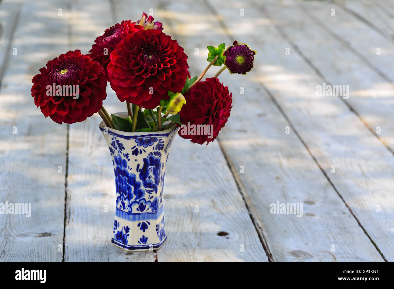 Burgundy Dahlias High Resolution Stock Photography And Images Alamy