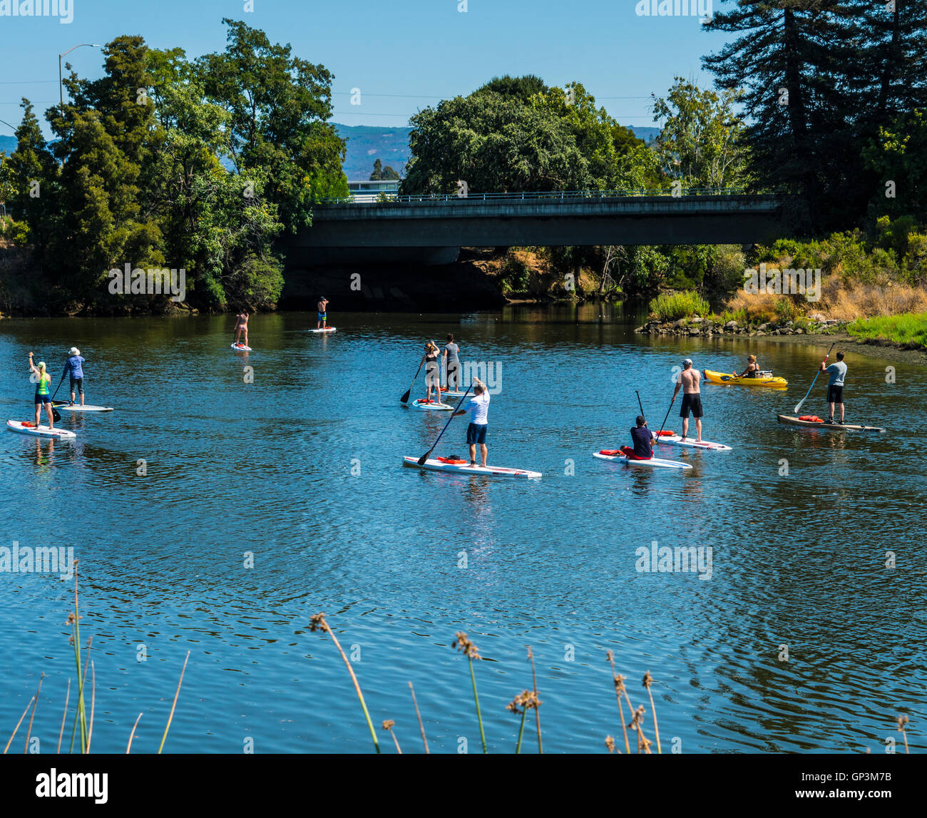 Paddle boarders on Napa River in Napa California Stock Photo