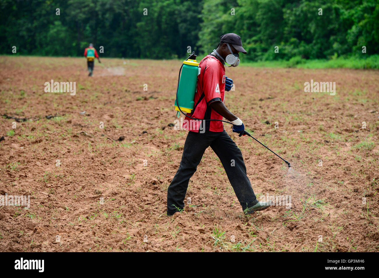 BURKINA FASO, Bobo Dioulasso, use of herbicide glyphosat Herbo Total 360 SL of chinese company Agrohao Co. Ltd. , worker with respirator mask Stock Photo