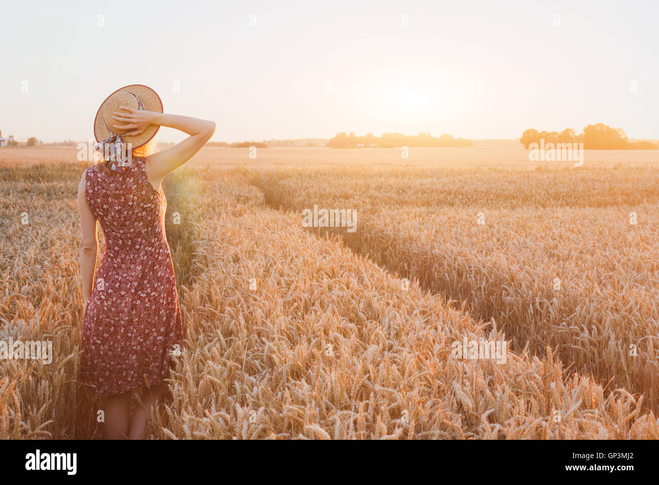 summer happy young woman in wheat field by sunset, daydream, beautiful background with place for text Stock Photo