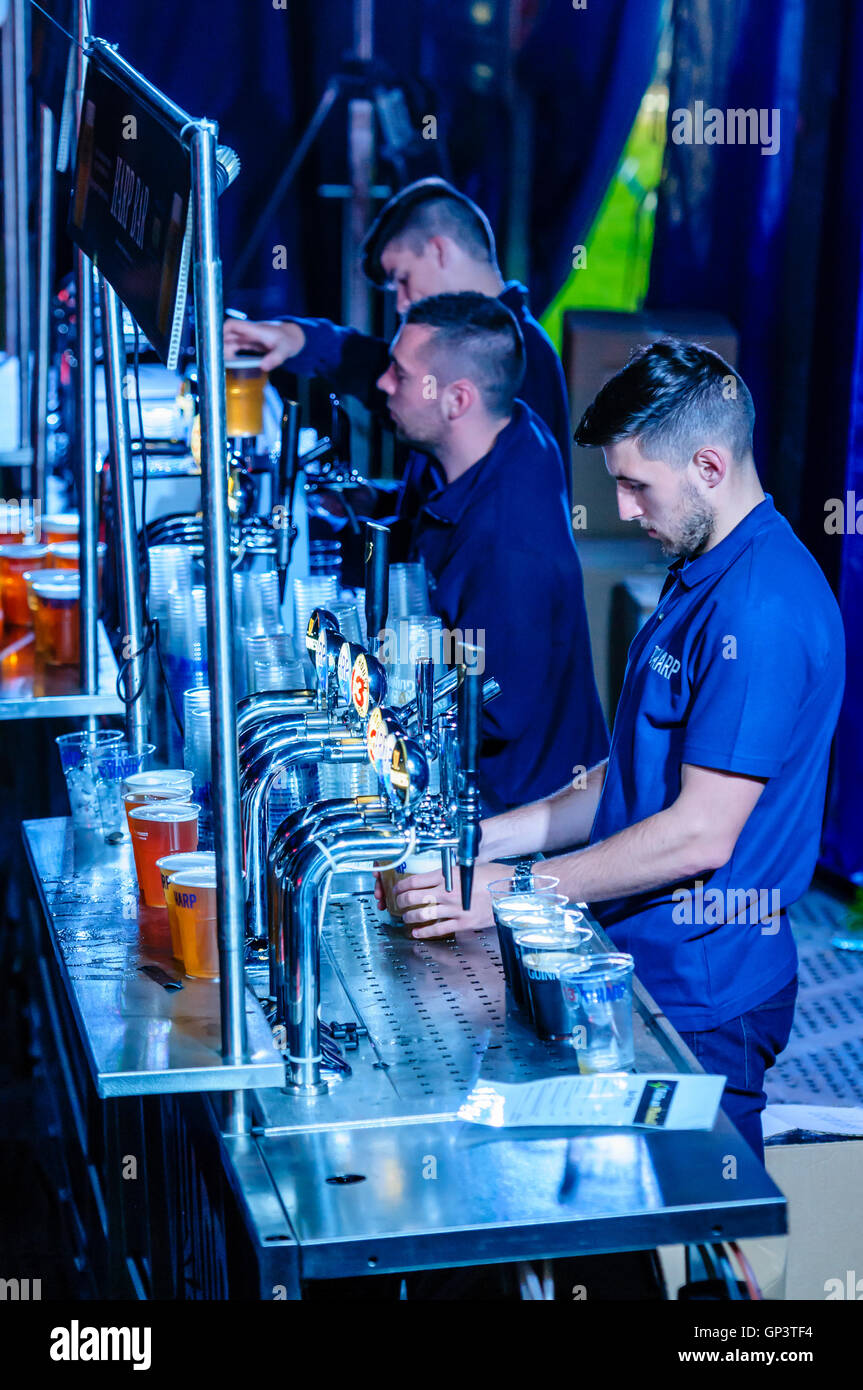 Barmen serve up pints of beer at an indoor concert venue. Stock Photo