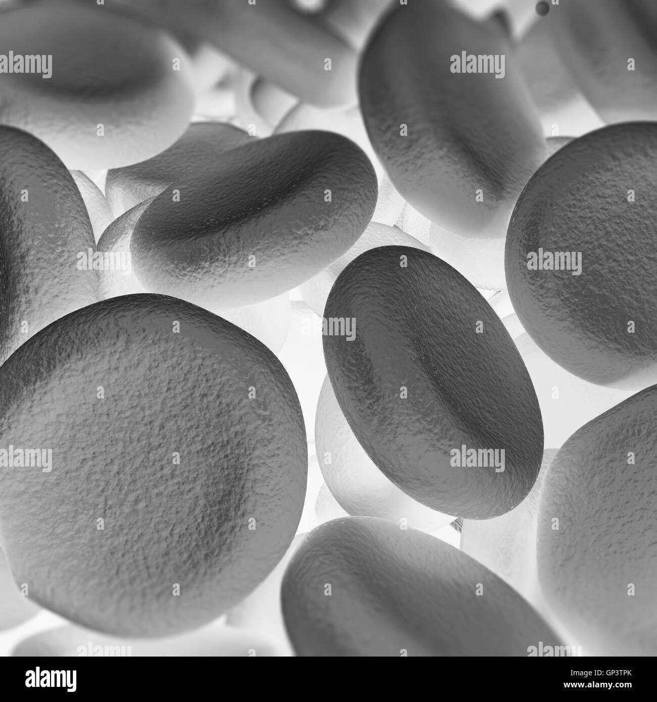 Blood cells, medical or microbiological background with depth of field. 3d illustration Stock Photo