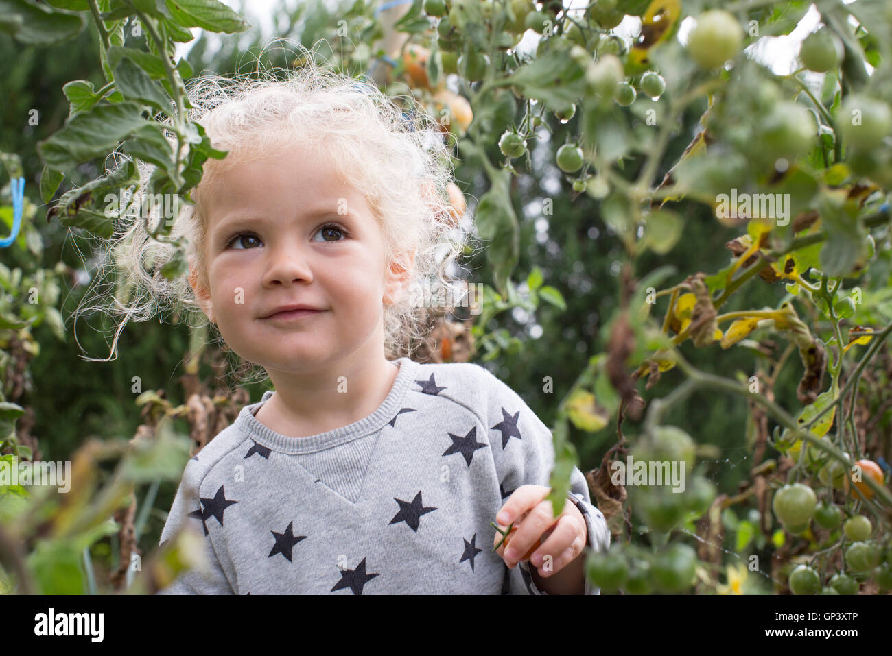 Little girl in vegetable garden Stock Photo - Alamy
