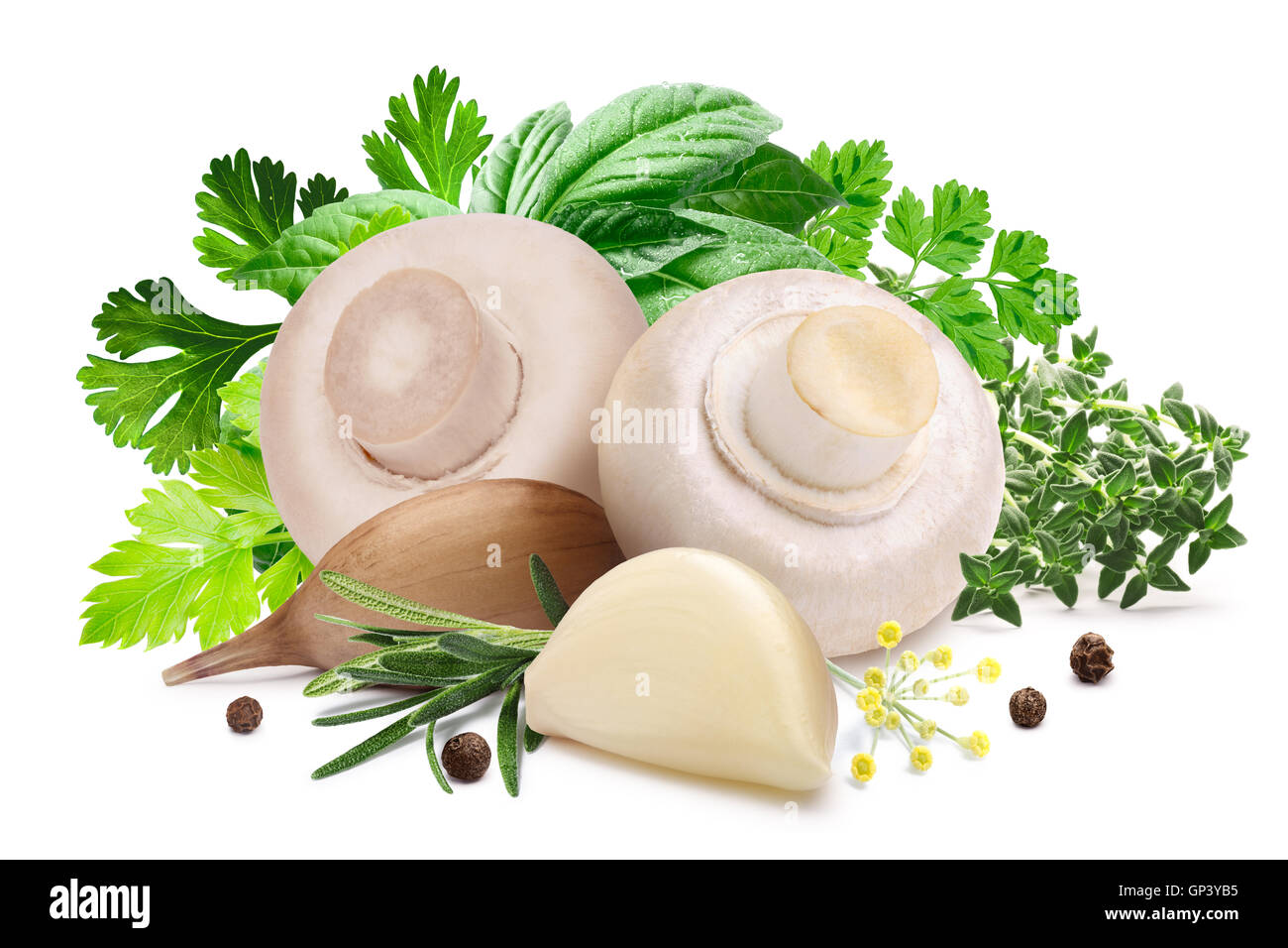 Button mushrooms (Agaricus bisporus) for pickling with herbs and garlic. Clipping path, shadow separated. Design elements Stock Photo