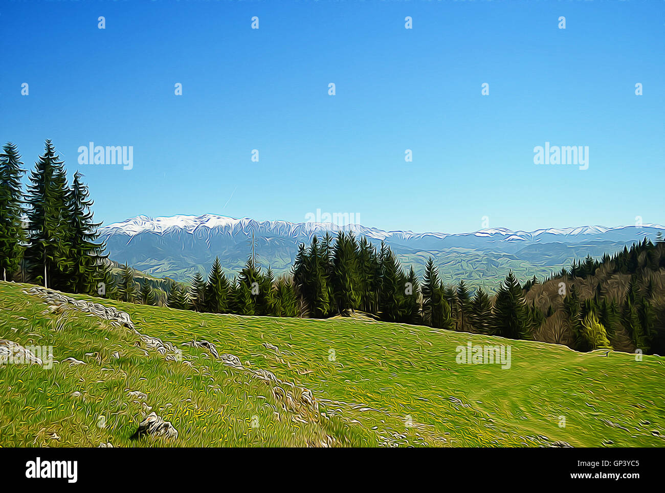 Illustration of spring mountain with fir forest on slope. Beautiful landscape with white peaks on far and a green field Stock Photo