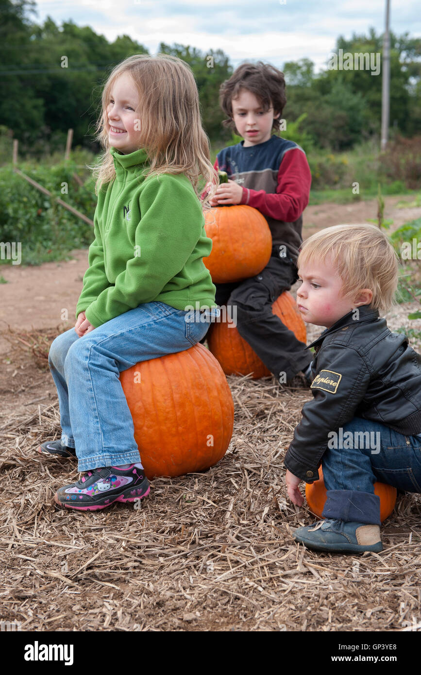 Children sitting on top of pumpkins Stock Photo - Alamy