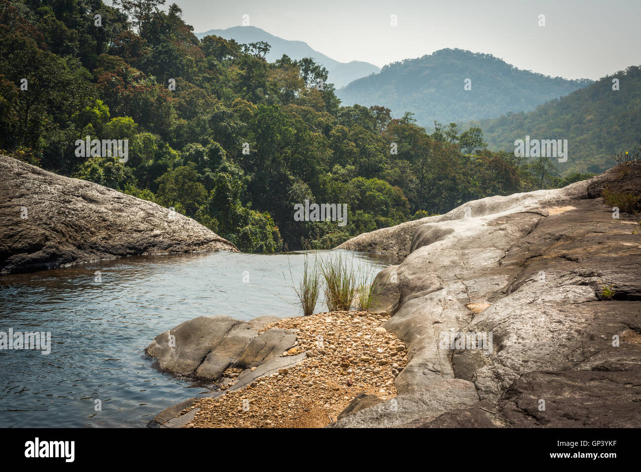 Neyyar Wildlife Sanctuary, Neyyar Dam, Kerala, India Stock Photo