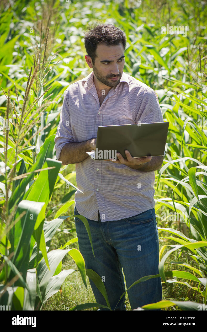 Scientist using laptop computer in field Stock Photo