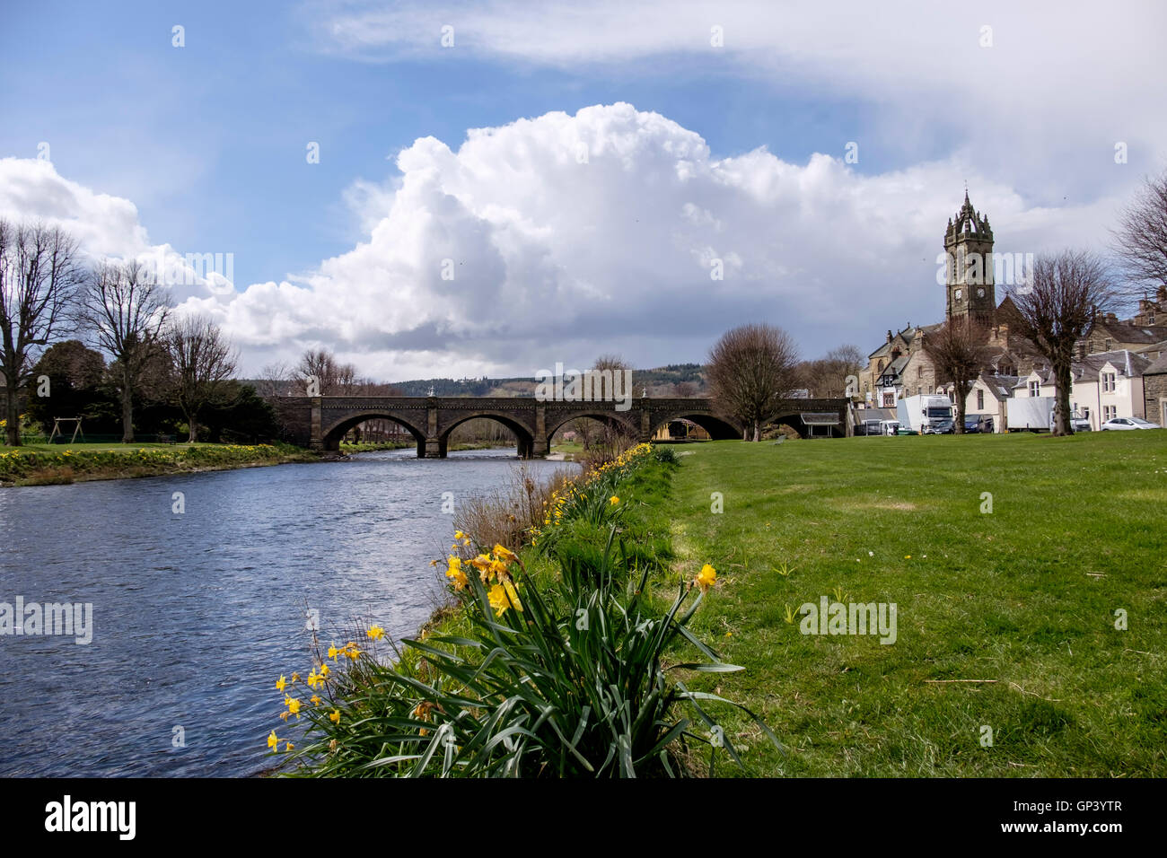 Scottish Borders town of Peebles with spring daffodils and old stone bridge over the River Tweed Stock Photo