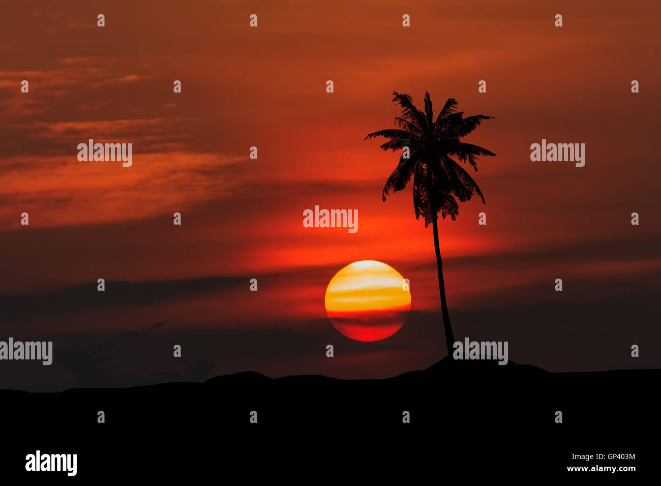 Red sky sunrise tree shadow Stock Photo - Alamy