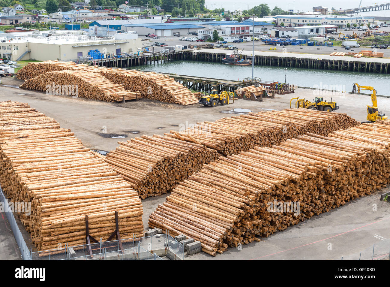 Many trees and logs stacked at a lumber operation on the Oregon coast