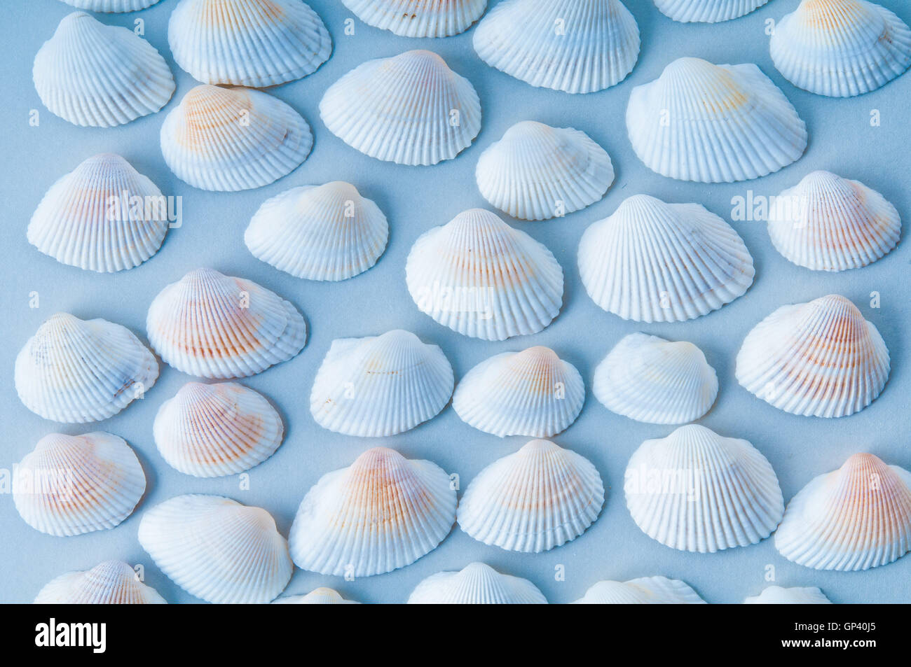 Natural pattern hi-res stock photography and images - Alamy