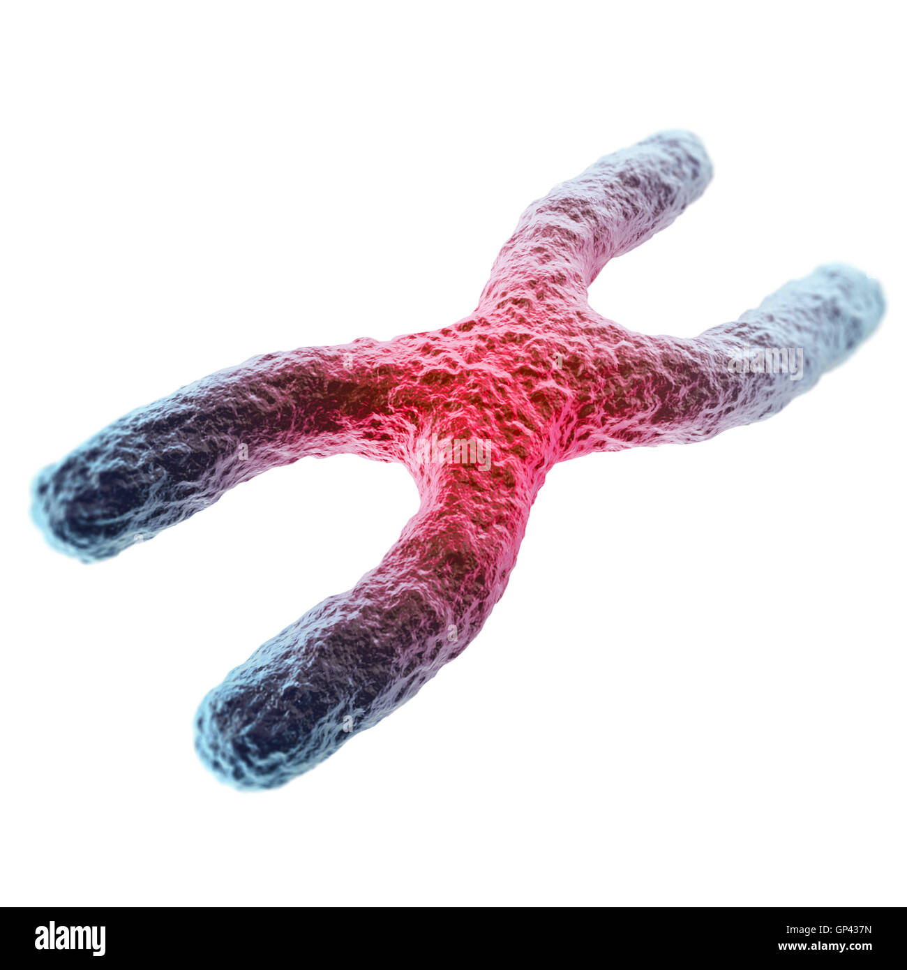 X chromosome, red in the center, the concept of infection, mutation, disease, with focus effect. 3d illustration Stock Photo