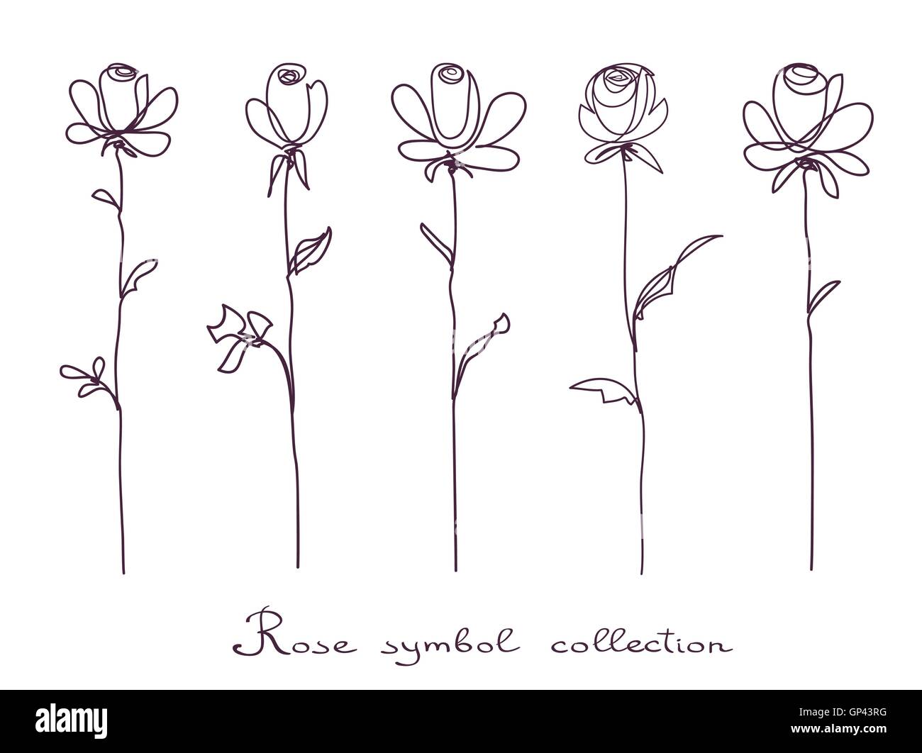 Roses. Collection of isolated rose flower sketch on white background Stock Vector