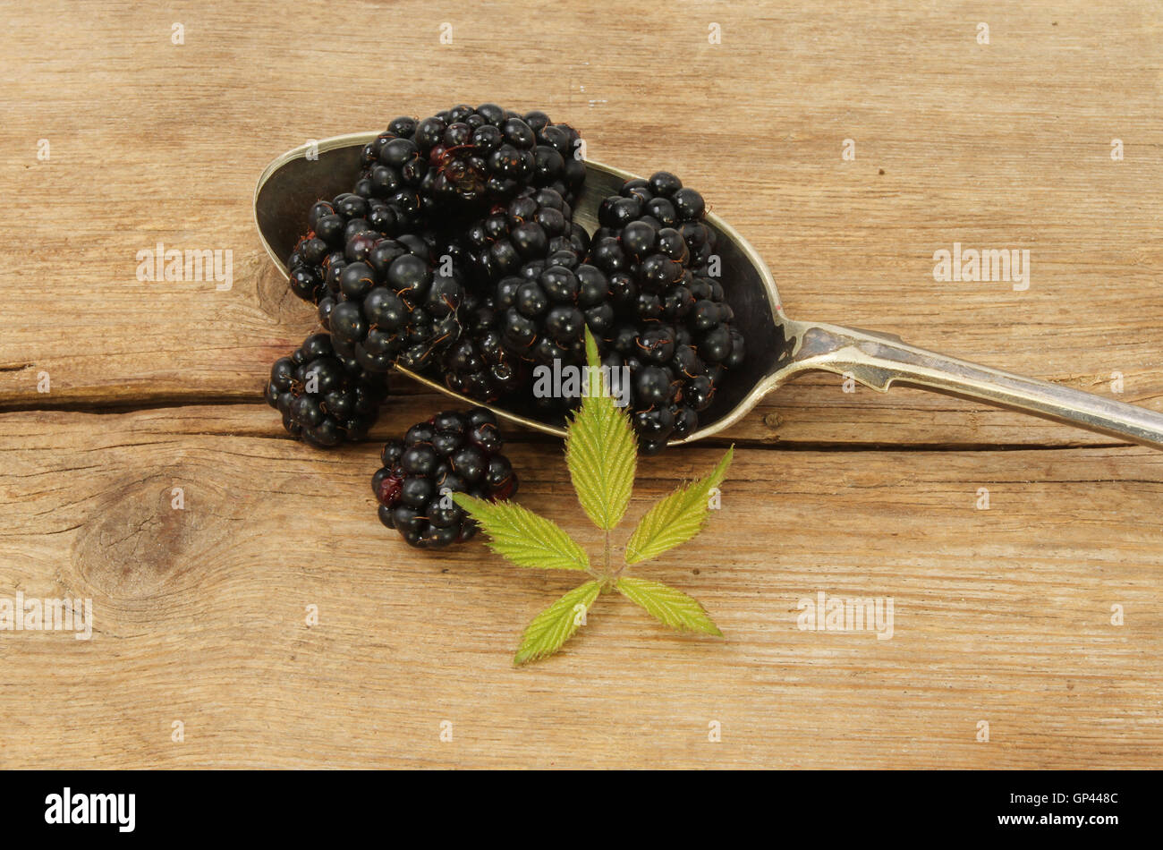Fresh blackberries in a spoon with leaves on old rustic wood Stock Photo