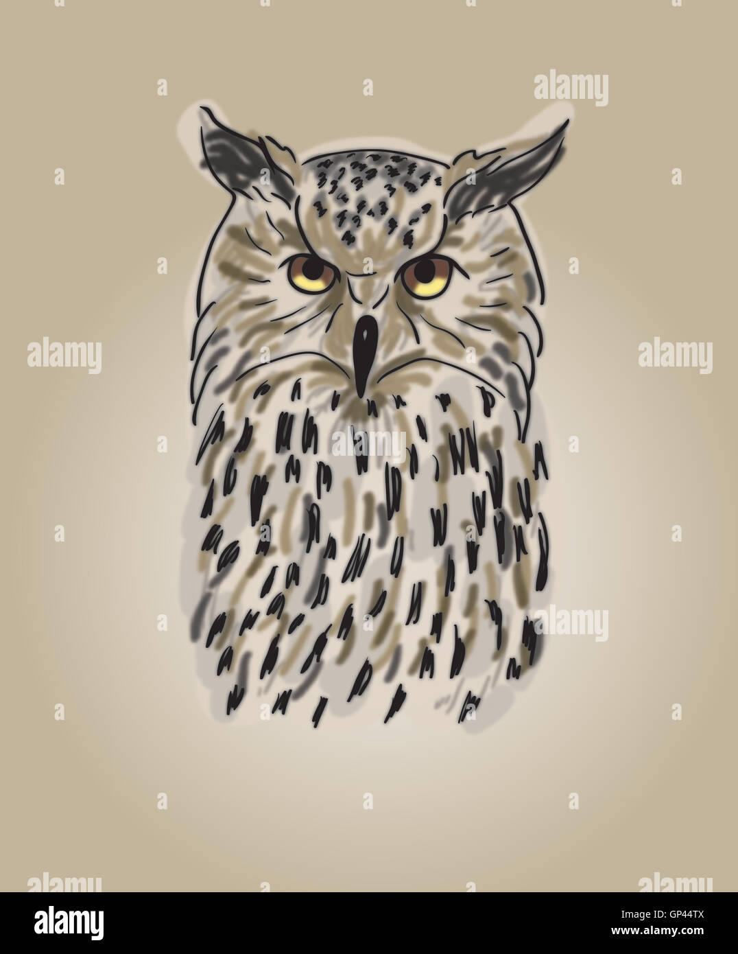 Design owls Stock Photo