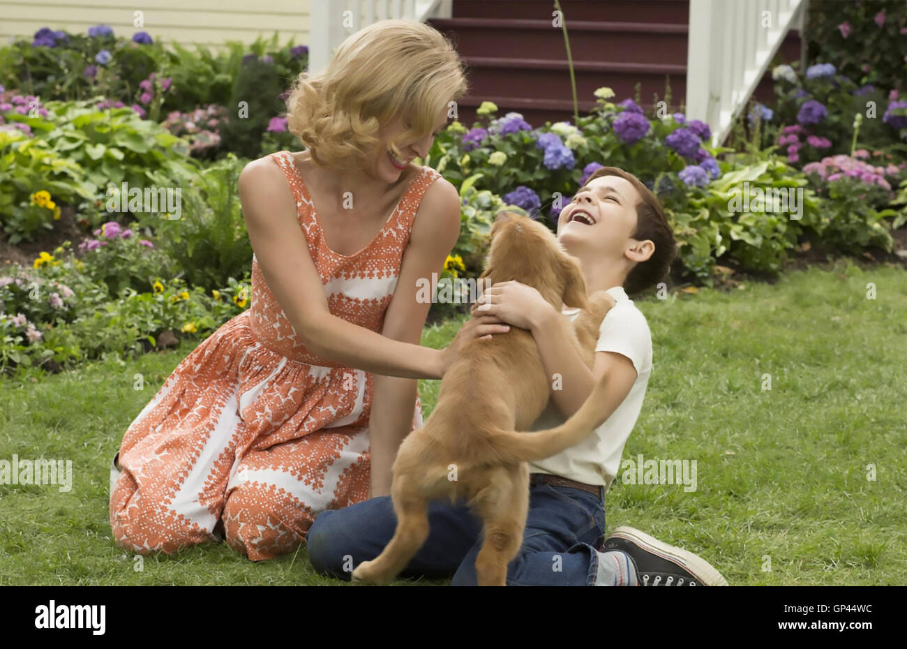 A DOG'S PURPOSE 2017 Amblin Entertainment film with Juliet Rylance Stock Photo