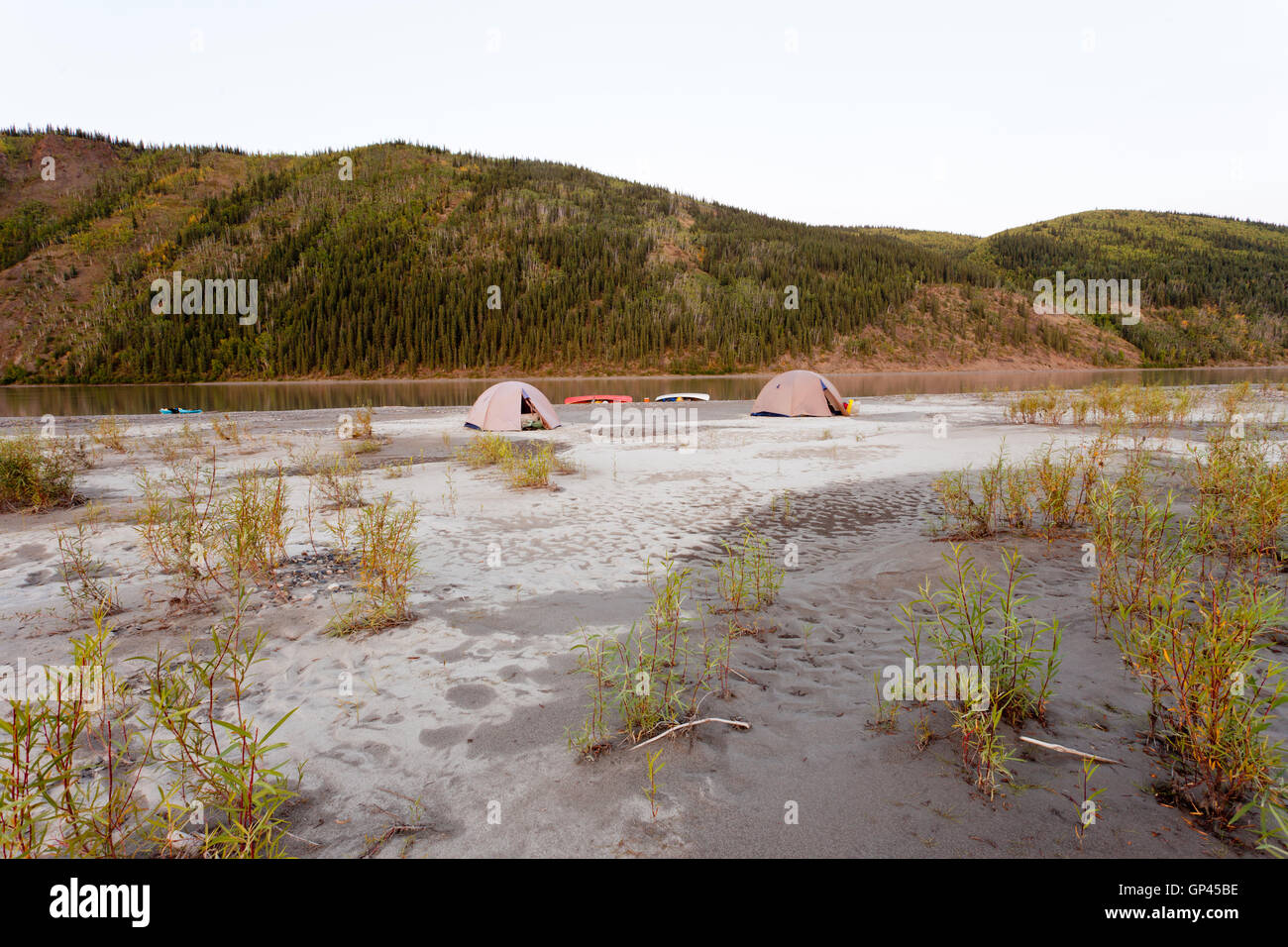 Canoe tent camp at Yukon River in taiga wilderness Stock Photo - Alamy