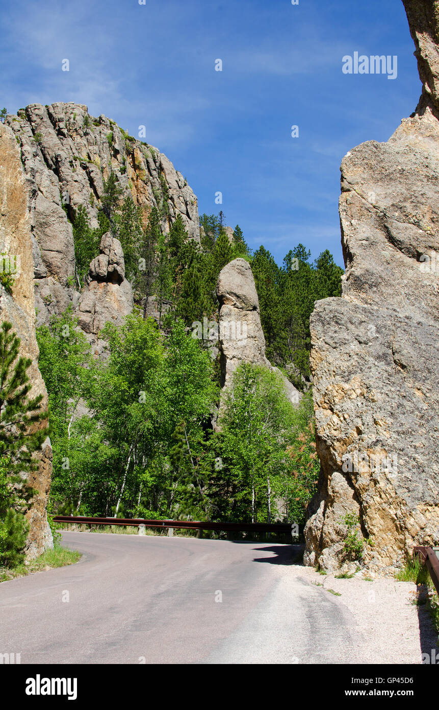 Custer State Park, Black Hills, South Dakota, USA Stock Photo Alamy