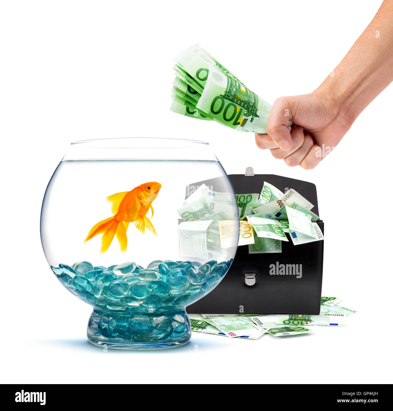 Goldfish with money Stock Photo - Alamy