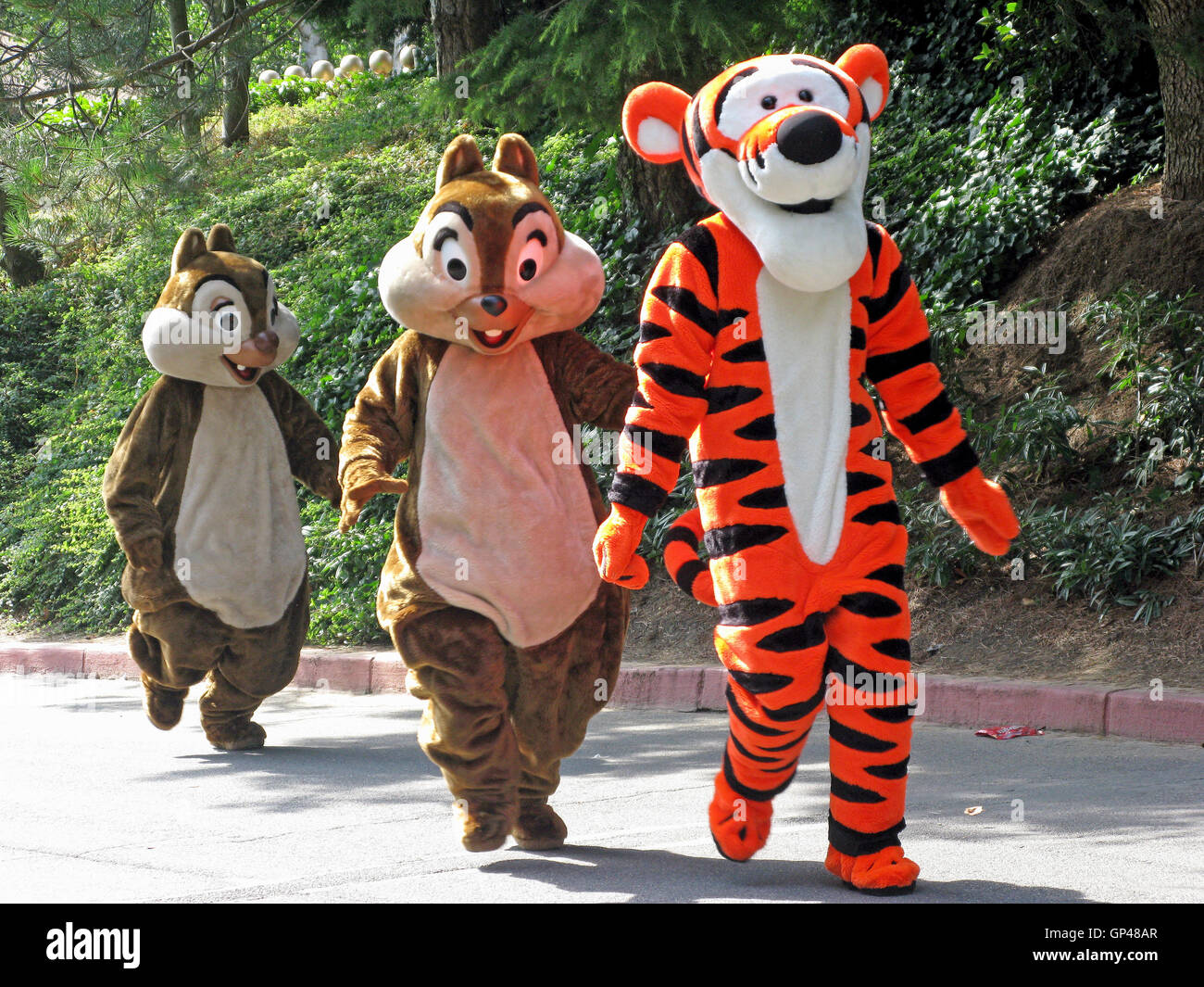 Marne La Vallee, France. July 31st, 2008. Tigger, Chip (Tic) and Dale (Tac) walking in a line at Disneyland Resort Paris. Stock Photo