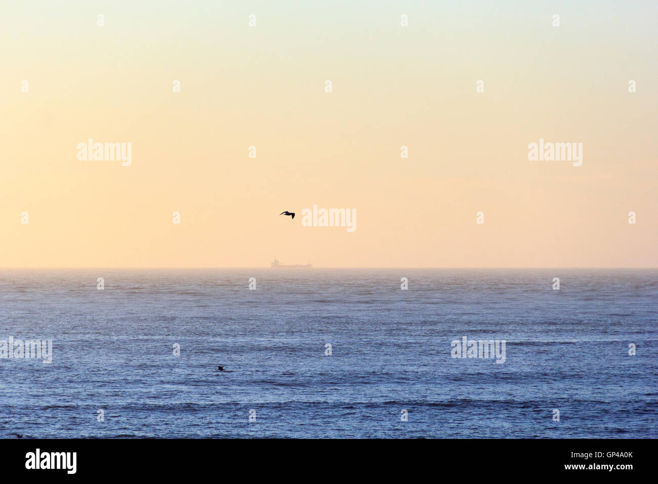 horizon, scenics, ocean, sunset, sun, sea, scene, sunlight, natural, cloud, sunrise, dramatic, panoramic, orange, morning, dusk, Stock Photo