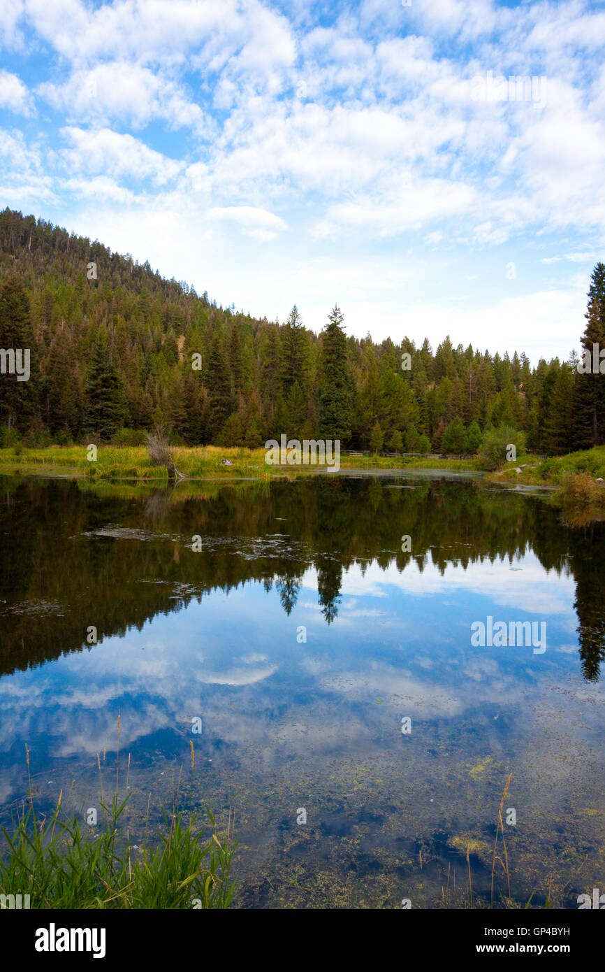 Trout Farm Pond Stock Photo Alamy