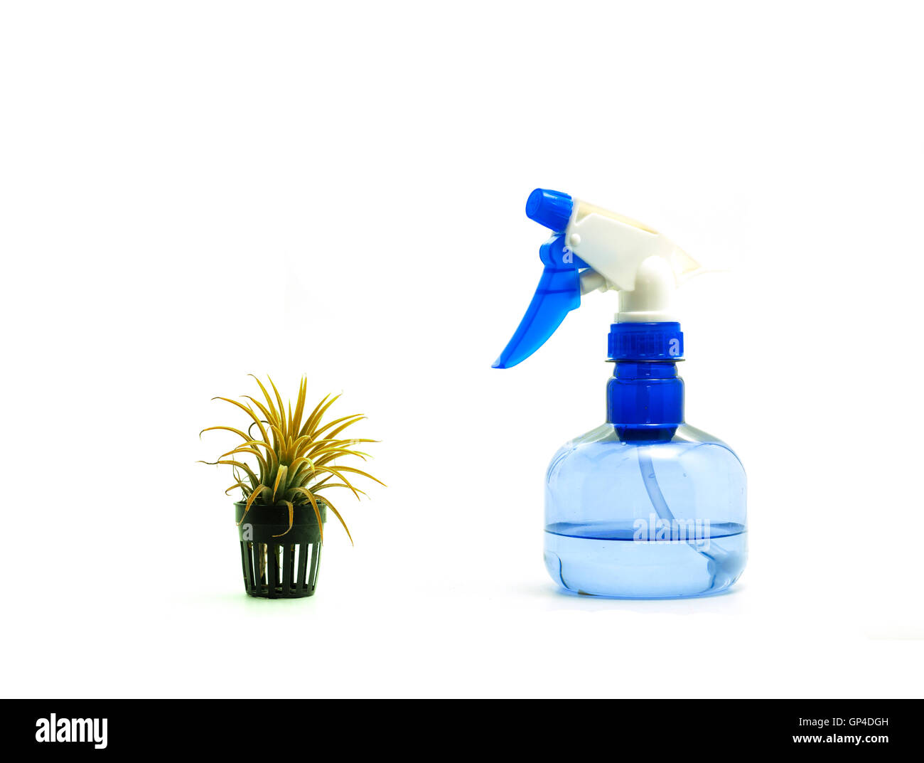 Drought plant and sprayer Stock Photo