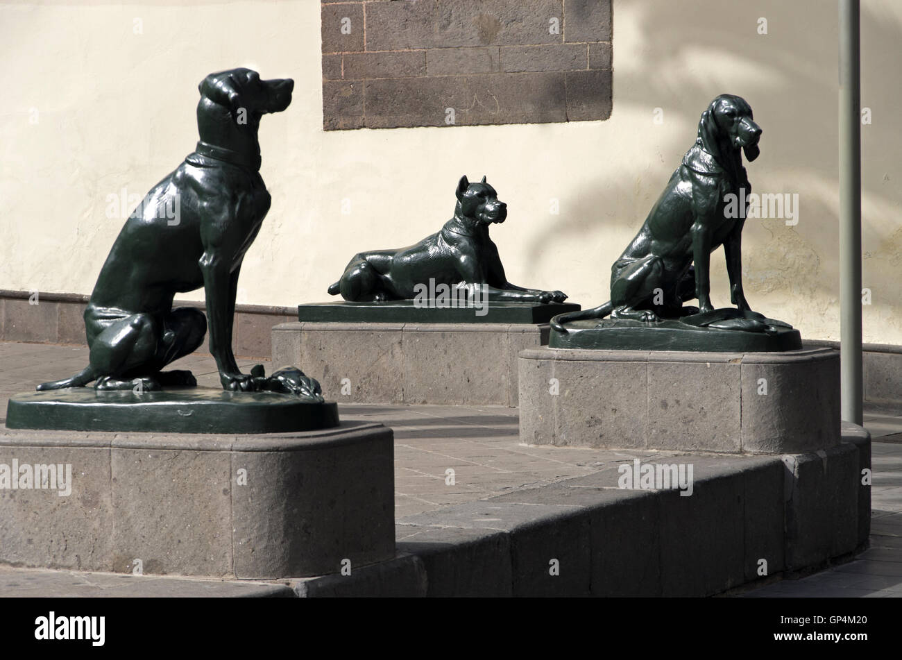 Plaza de Santa Ana, three black metal statues of black Dogs symbols of the Canaries, Perro de Presa Canario Stock Photo