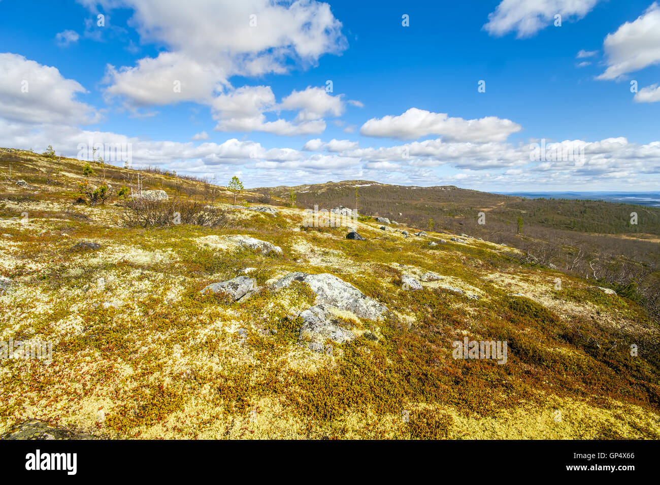 mountain tundra and forest at  bottom of  wonderful polar landscape Stock Photo