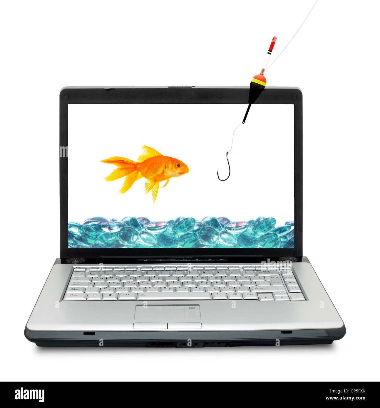 Picture of Goldfish in aquarium Stock Photo - Alamy