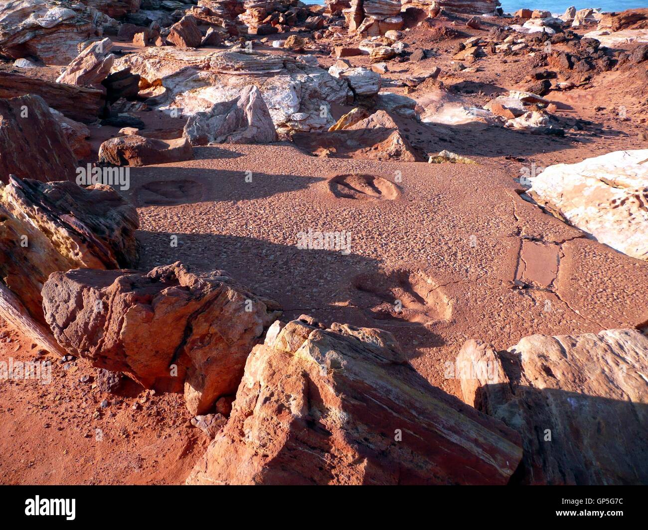 Dinosaur footprints caste in concrete Stock Photo