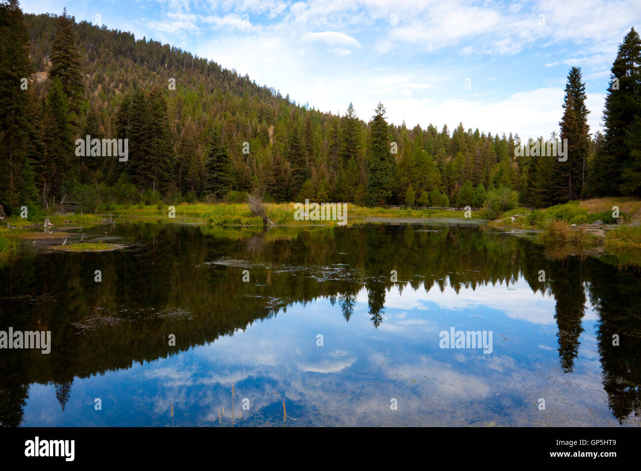 Trout Farm Pond Stock Photo Alamy