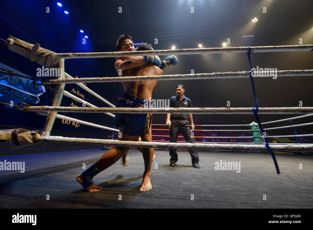 Two male athlete boxing competition in ring. Diverse ethnic men punch  fighting in kickboxing exercise in fitness gym. Boxing is fighter sport  training need body strength and power fist to knockout. Stock
