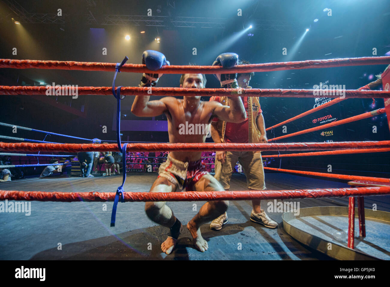 Muay thai boxer hires stock photography and images Alamy