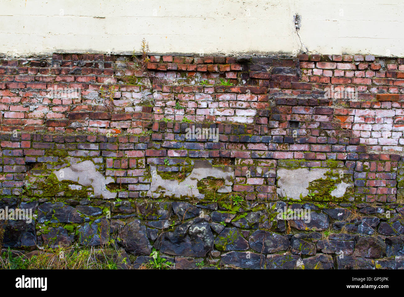 Weeds growing in the walls hi-res stock photography and images - Alamy