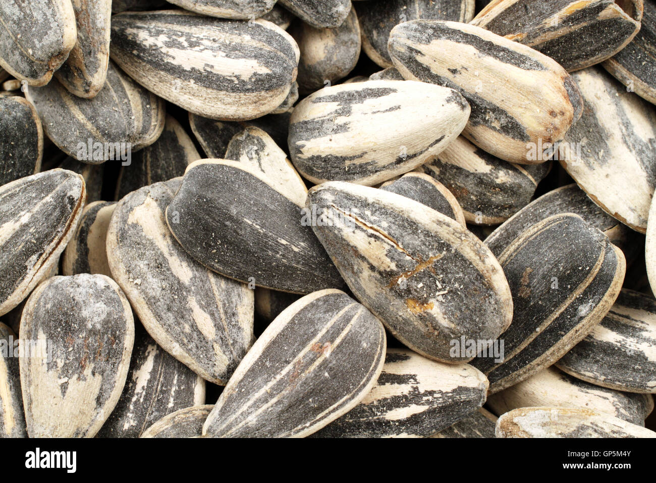 An extreme macro image of black and white sunflower seeds Stock Photo ...