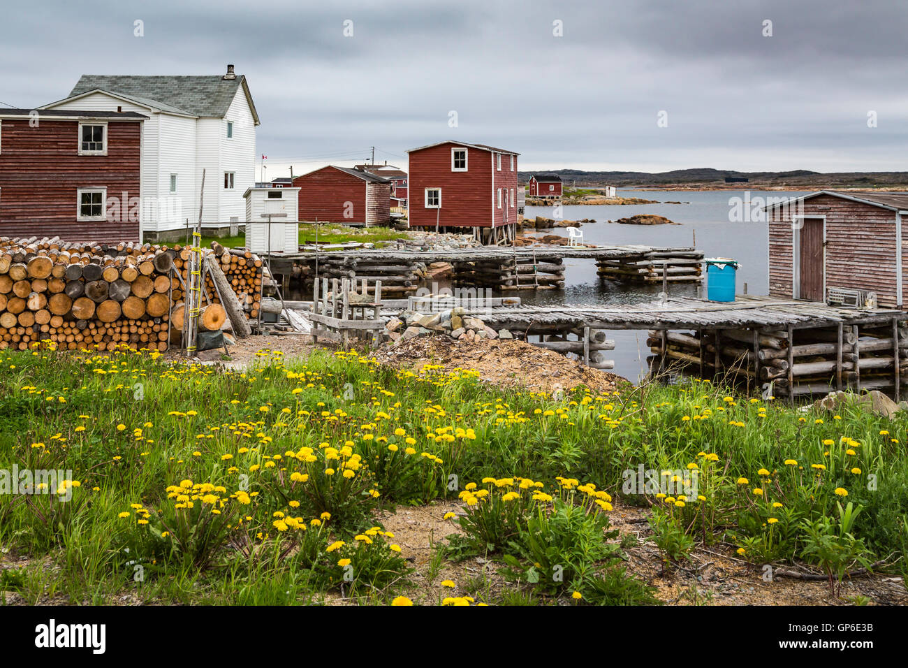 Fishing boats and stages in the harbor at Joe Batt's ArmBarr'd Islands