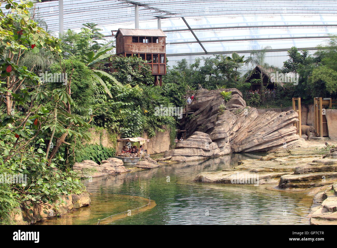 Wildlands emmen zoo hi-res stock photography and images - Alamy