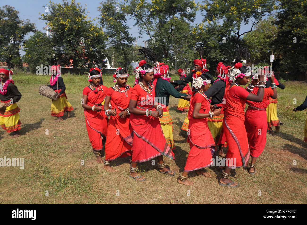Mudia tribal dancer, jagdalpur, chhattisgarh, india, asia Stock Photo
