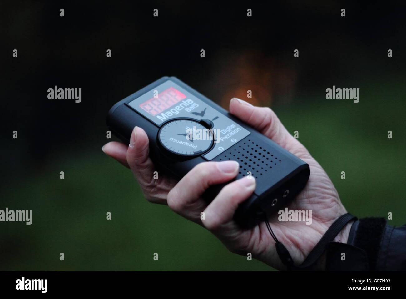 Echolocation hires stock photography and images Alamy