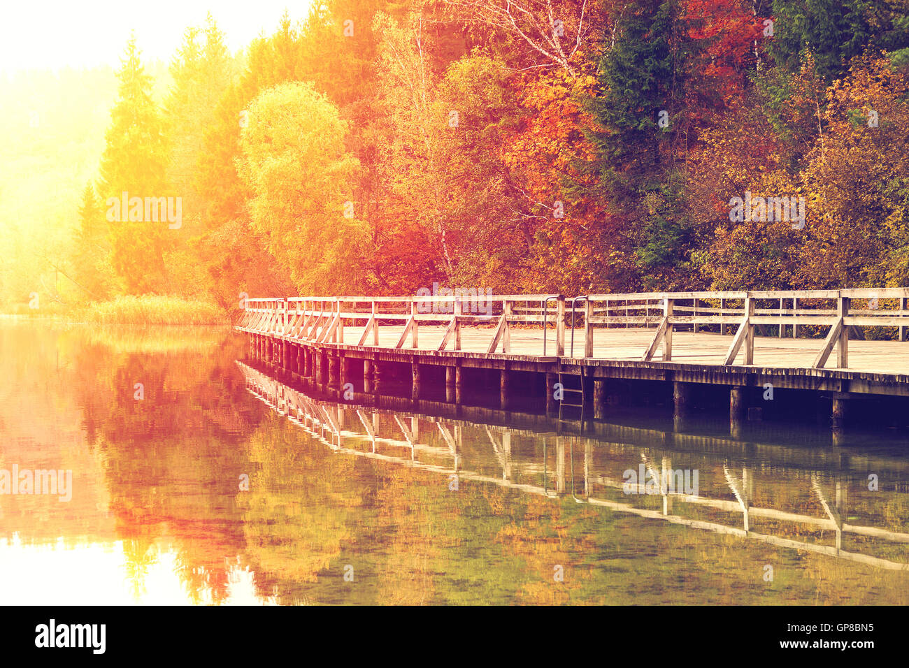 Yellow sun glow on autumn landscape with colorful trees and wooden pier reflected in the lake water Stock Photo
