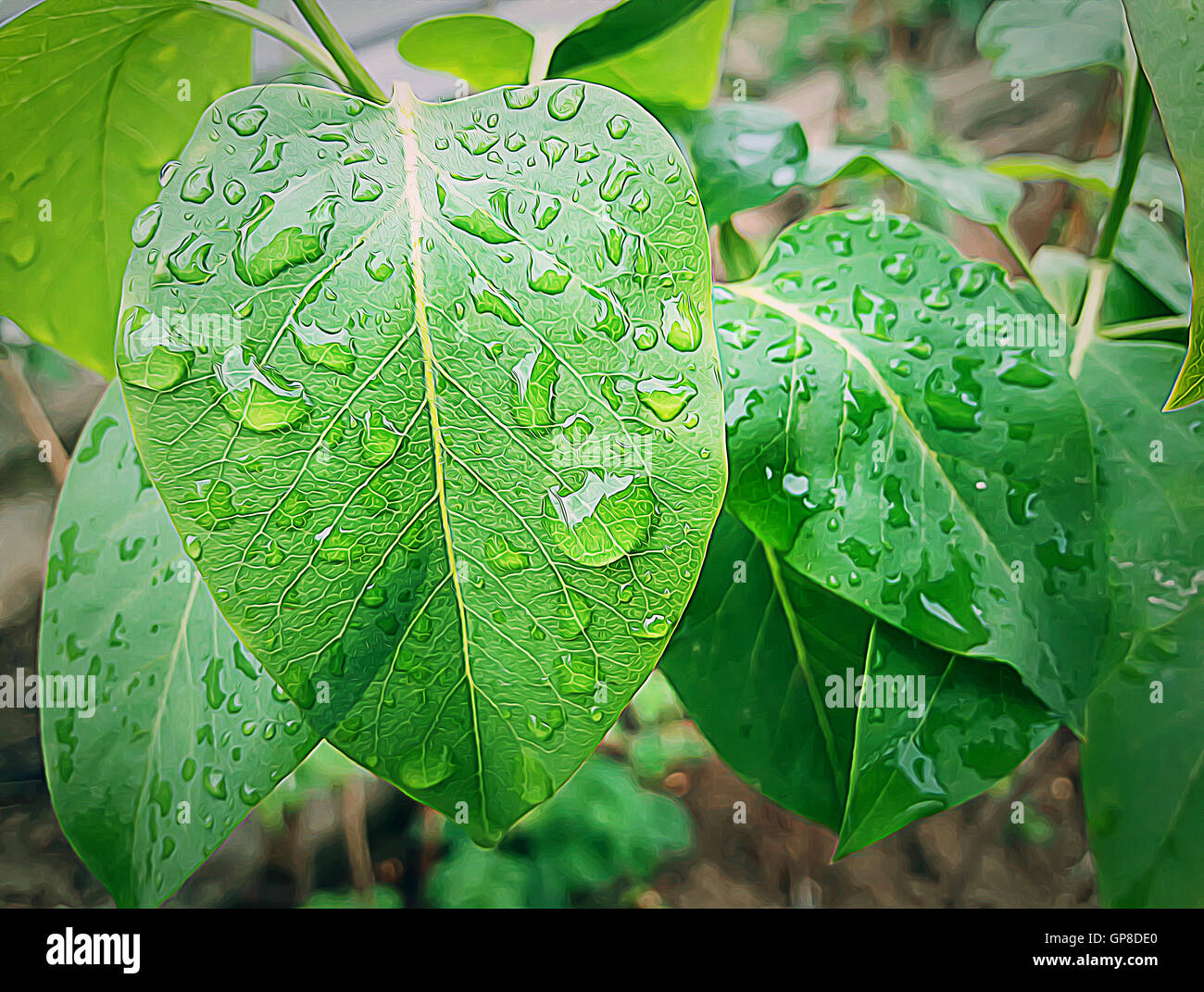 Illustration of green leaves with water drops. Plant after rain Stock Photo