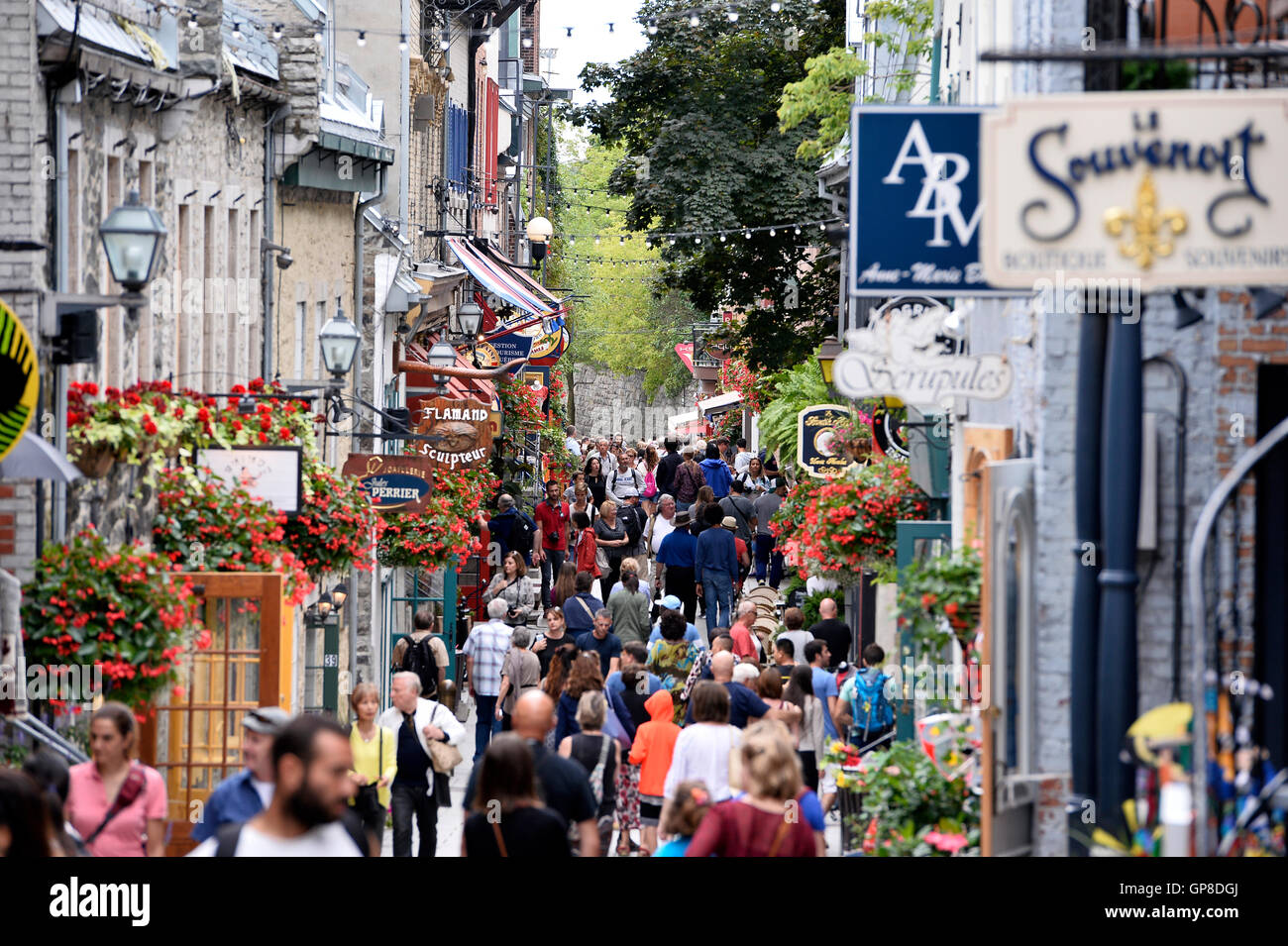 Rue SaintJean, Quebec, Canada Stock Photo Alamy
