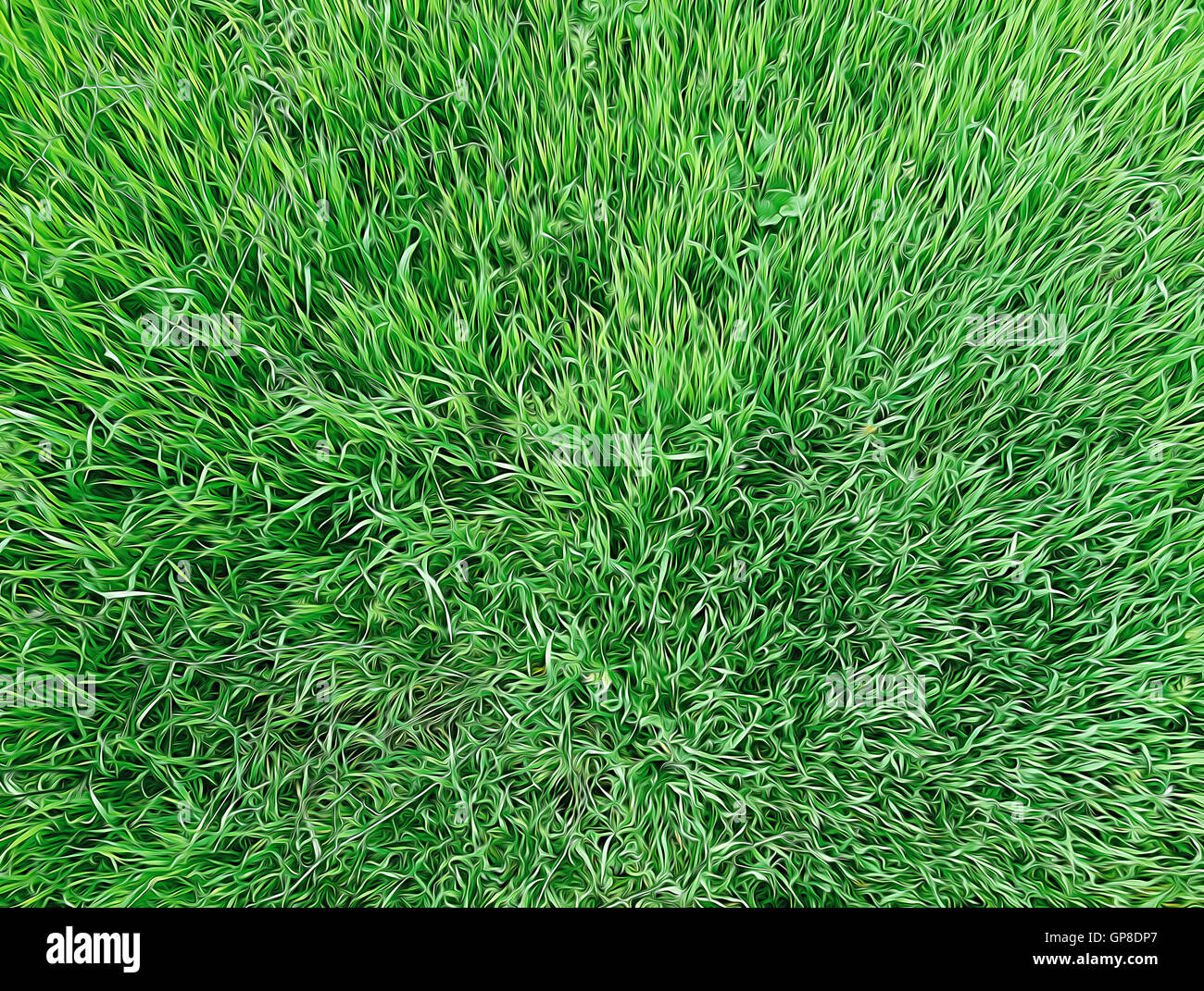 Green grass lawn background Stock Photo