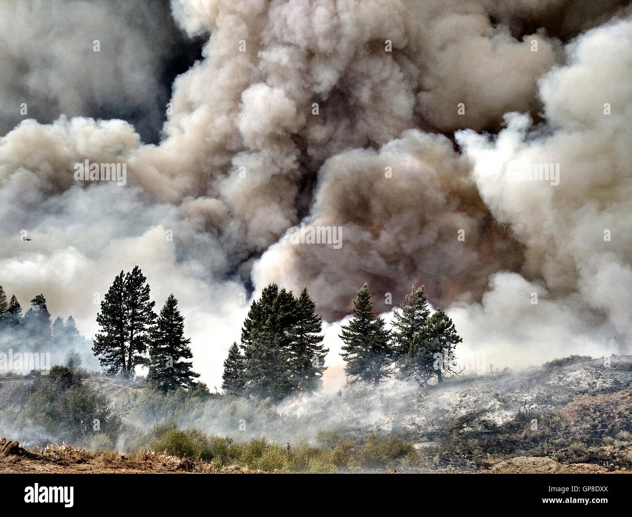 Flames and smoke rise from the Pioneer Fire burning in the Boise National Forest August 5, 2016 northeast of Boise, Idaho. The fire has burned nearly 250 square miles of forest and is being fought by 1100 firefighters. Stock Photo