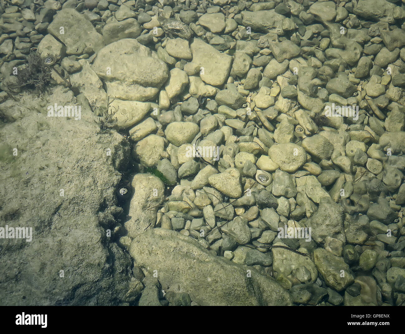 Underwater texture with the light on a rocky seafloor with stone pieces Stock Photo