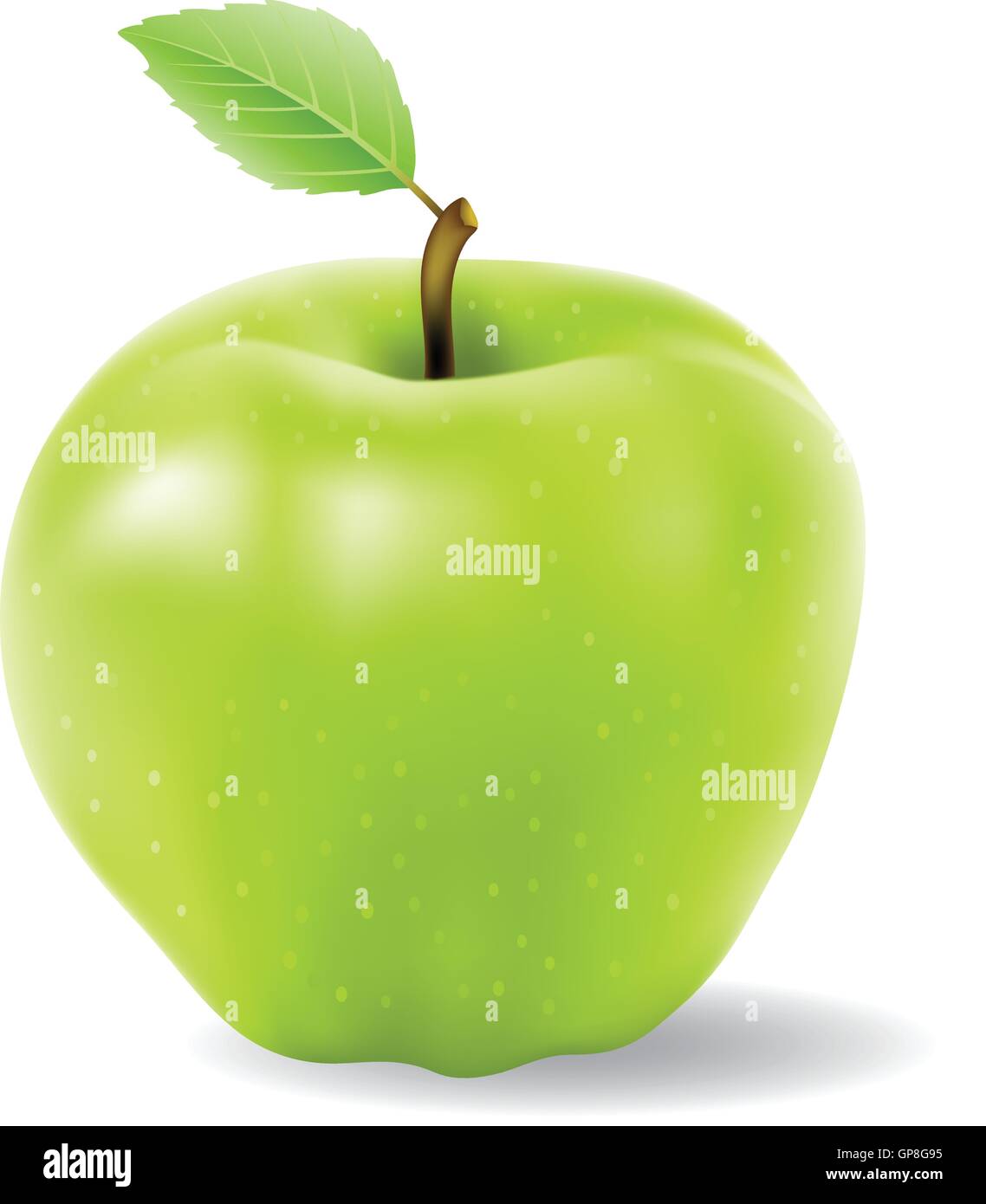 green apple vector isolated on a white background Stock Vector Image