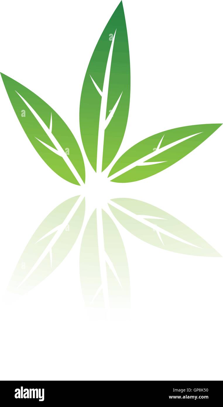 Green leaf isolated on white Stock Vector Image & Art - Alamy