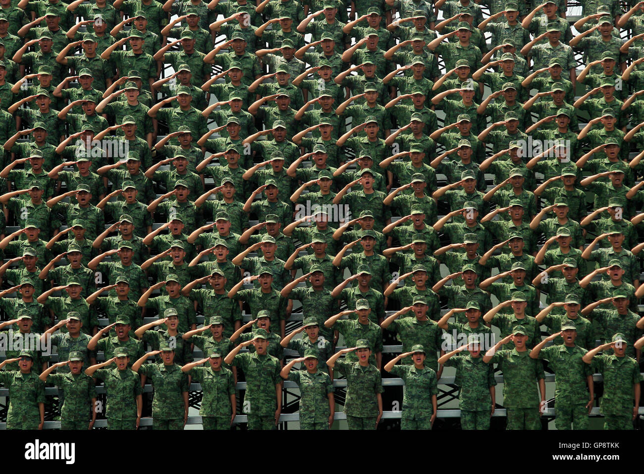 Mexico City. 2nd Sep, 2016. Military personnel salute during a ceremony to destroy seized weapons, in Mexico City Sept. 2, 2016. Some 8,000 weapons, mostly illegally transported from the United States, were destroyed Friday, according to local press. Credit:  Xinhua/Alamy Live News Stock Photo